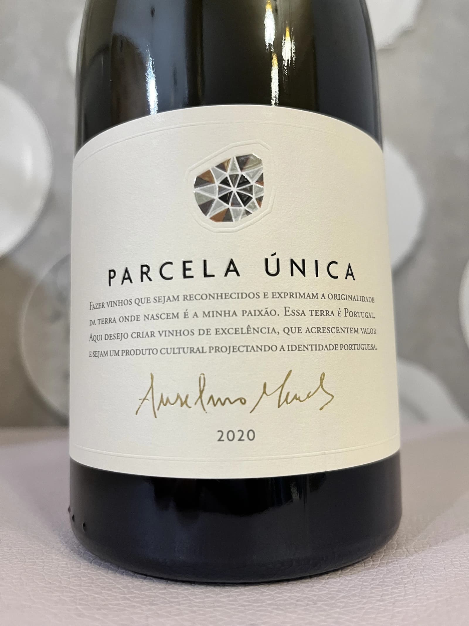 Anselmo Mendes Parcela Única 2020